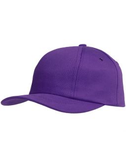 Бейсболка Bizbolka Capture, фиолетовая