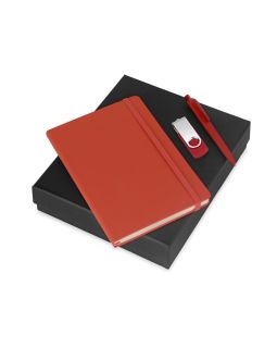 Подарочный набор Vision Pro Plus soft-touch с флешкой, ручкой и блокнотом А5, красный