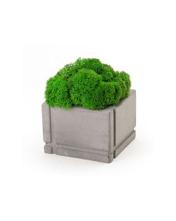 Кашпо бетонное со мхом (квадрат-маренго мох зеленый), QRONA