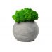 Кашпо бетонное со мхом (сфера-маренго мох зеленый)
