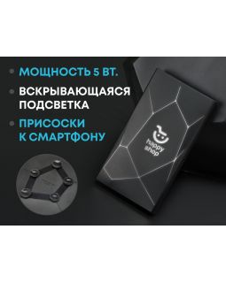 Портативное беспроводное зарядное устройство Geo Wireless, 5000 mAh